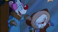 Pinky i Mozg S01E08 - Boże Narodzenie