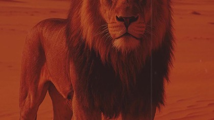 Jestem Lwem  #polskirap #muzyka #rappl #rap #lew #shorts