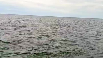 Hej me Bałtyckie Morze! Plażowanie jeszcze na koniec sierpnia, 30. 08! Pozdrowienia z Łaz! Pochmurno.