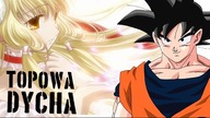 ★10 fakt&oacute;w na temat anime ★