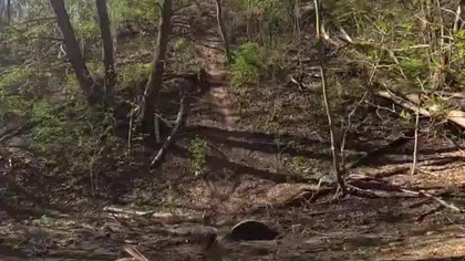 Hill Climbing KTM E-XC GoPro 13