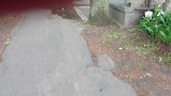 ADWOKACI W AKCJI ODCINEK 254 NA CMENTARZU