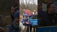 Pokaże pani bobra?