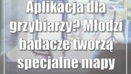 Aplikacja dla grzybiarzy? Młodzi badacze tworzą specjalne mapy
