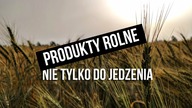 Czas na produkty rolne? | Analiza akcji, walut, surowców, indeksów