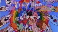 Przygody Animków / Tiny Toon Adventures - polish intro & outro