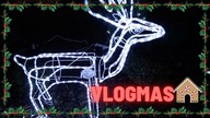 VLOGMAS 2020 SWIATECZNE SWIECACE RENIFERY