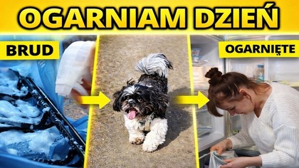 Małe porządki i zwykły dzień ze mną | VLOG