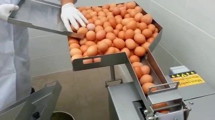 Polskie urządzenie do rozdzielania ż&oacute;łtka od białka