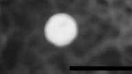 S. M. -2. 2