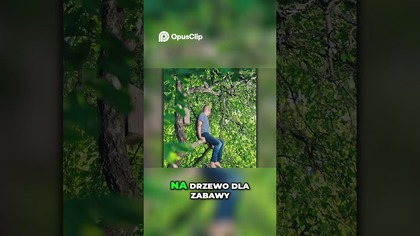 Niewytłumaczalne Zdarzenia Duchy, Potwory i Rytuały w Nocy!