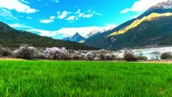 The Beauty of Earth