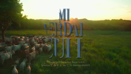 Mi verdad oculta 004 NAPISY PL