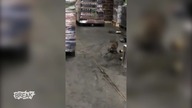 Kompilacja totalnych upitych ludzi