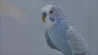 robienie ambientu z nuduw/making ambient out of boredom