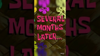 Trumps White House Makeover