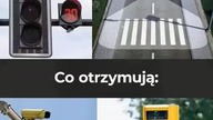 samotny wilk walczący z patologią miasta