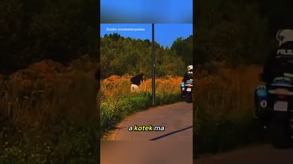 Hulajnoga kontra policyjny motor!  Kto wygra ten pościg?  #policja #shorts #polscykierowcy
