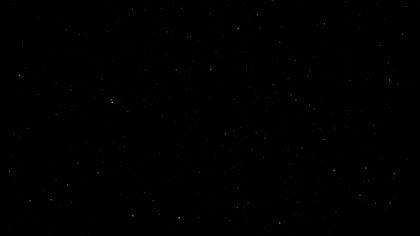 Relaks 4K w Oak Forest; Ptaki i cisza natury (z dala od hałasu) CZARNY EKRAN