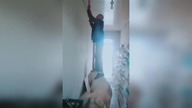 LiveLeak - Man stands on a pig to clean the ceiling
