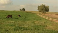 U Pana Boga w ogr&oacute;dku S01E02