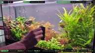 AkwaLive porządki [LIVE #137]