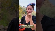 Zapowiedź filmu Robimy Dżem z Kaki i Figi z Gorgonzolą- 24. 11. 2024