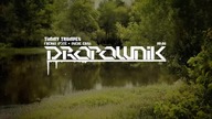 Timmy Trumpet - Freaks (P3TE & Steve Edit)