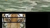 Fort Boyard - Odcinek 1 [SEZON 1]