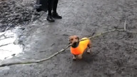 Rozmiar ma jednak znaczenie