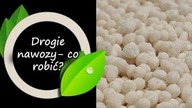 Co robić, gdy nawozy drogie?