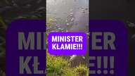 Masowe padanie ryb w polskich zbiornikach wodnych! - Interpretacja o pełne informacje od władz!