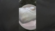 Hydro jak po WOSKUDuet K2 Vena Pro & K2 Wash Mitt