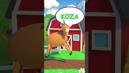 Zwierzęta dla dzieci na wsi | Kaczka, owca i koza