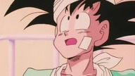 DragonBall Z Abridged: odcinek 13 - TeamFourStar (TFS) Lektor Pl