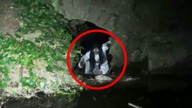 5 PARANORMALNYCH nagrań PRZEZ KTÓRE NIE PÓJDZIESZ SPAĆ!