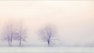 Marless - Najlepszy