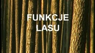 Funkcje lasu