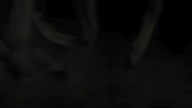 Eight for Silver - The Cursed Lektor PL.