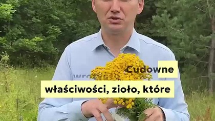 Czas na wrotycz! | Michał Toczyłowski | Narum | Narine