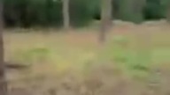 Kajaki i impreza z SK na dzień dziecka