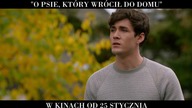 O psie, który wrócił do domu  spot 15 s. (2)