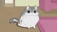 [Fusoku Subs] Yoru wa Neko to Issho 30