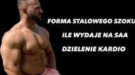 Q&A stalowy szok, prawdziwy ja, saa