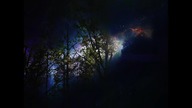 Medytacja na Noc Kupały, Kupala Night Meditation