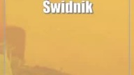 Świdnik: Nasiona warzyw i kwiatów  co sadzić na wiosnę