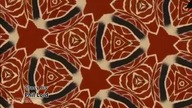 NotRobit (2019) Credits