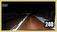 Stado Jeleni przebiega drogę #Film Widza #240