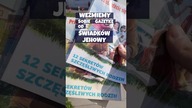 Jestem byłym świadkiem Jehowy i podszedłem do nich na ulicy! Ich reakcja? SZOK!