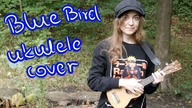 Naruto - Blue bird (ukulele cover)